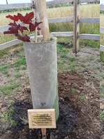 Reunion, North Killingholme, 2025